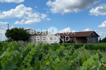 Terroir remarquable pour ce vignoble de 2 hectares dans l'appellation Saint Emilion Grand Cru.