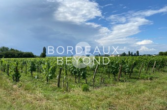 Belle opportunité d'acquérir un vignoble de 3 hectares dans l'appellation St Emilion.