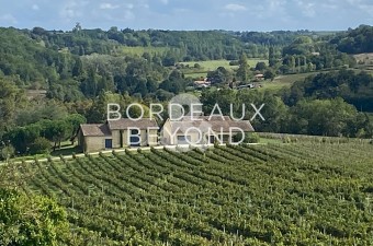 Propriété viticole entièrement rénovée proche Bordeaux et Saint-Emilion.