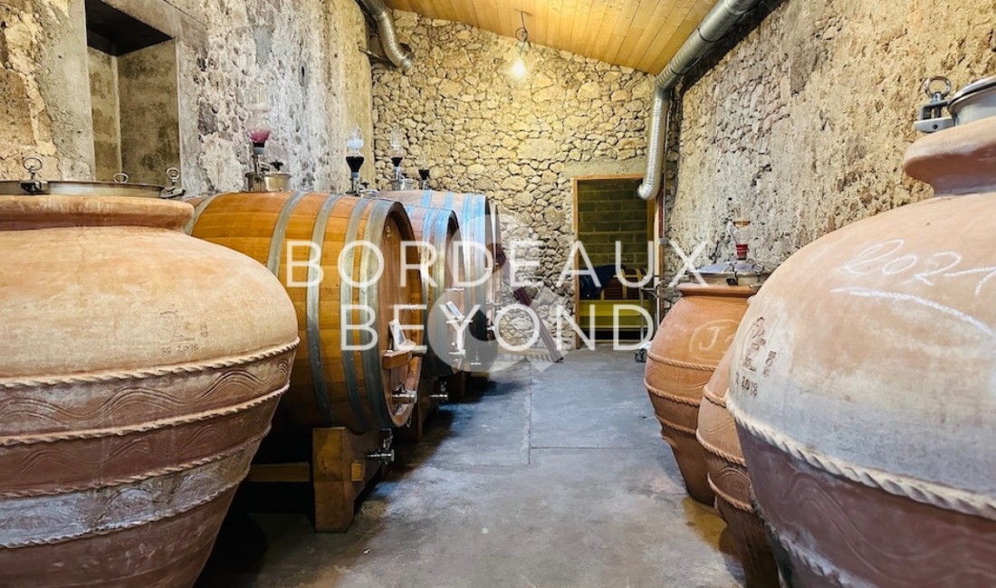  FRONSAC Châteaux/vignobles à vendre