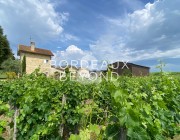GIRONDE SAINT EMILION Chateaux/vineyards for sale