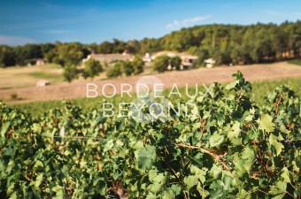 Petit domaine viticole de 12 hectares en AOC Castillon Côtes de Bordeaux, comprenant l'ensemble des installations de production.
